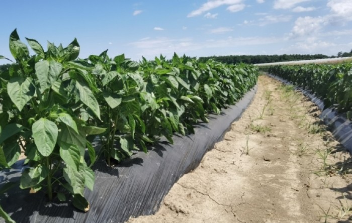 MONITUS AGRO d.o.o.