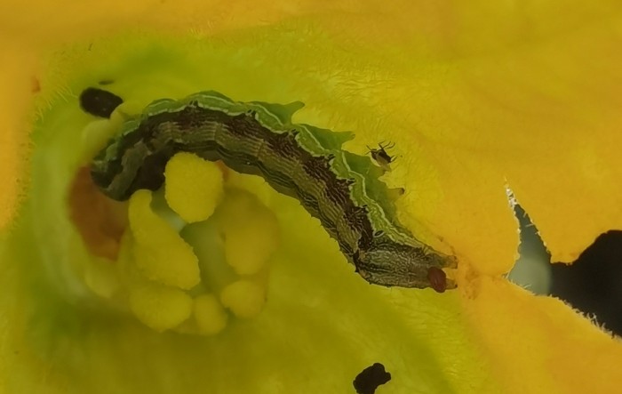 MONITUS AGRO d.o.o.