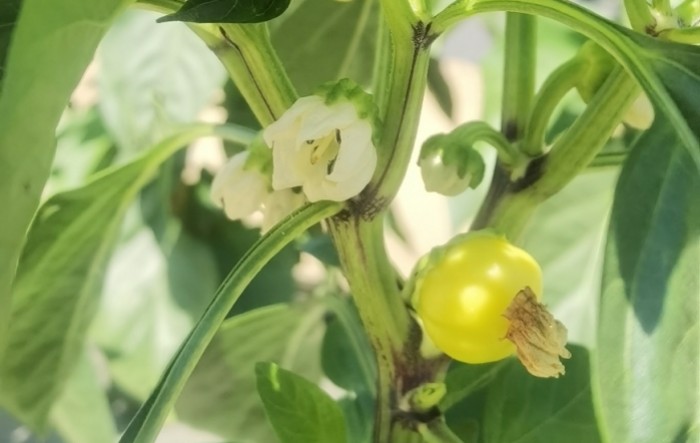 MONITUS AGRO d.o.o.