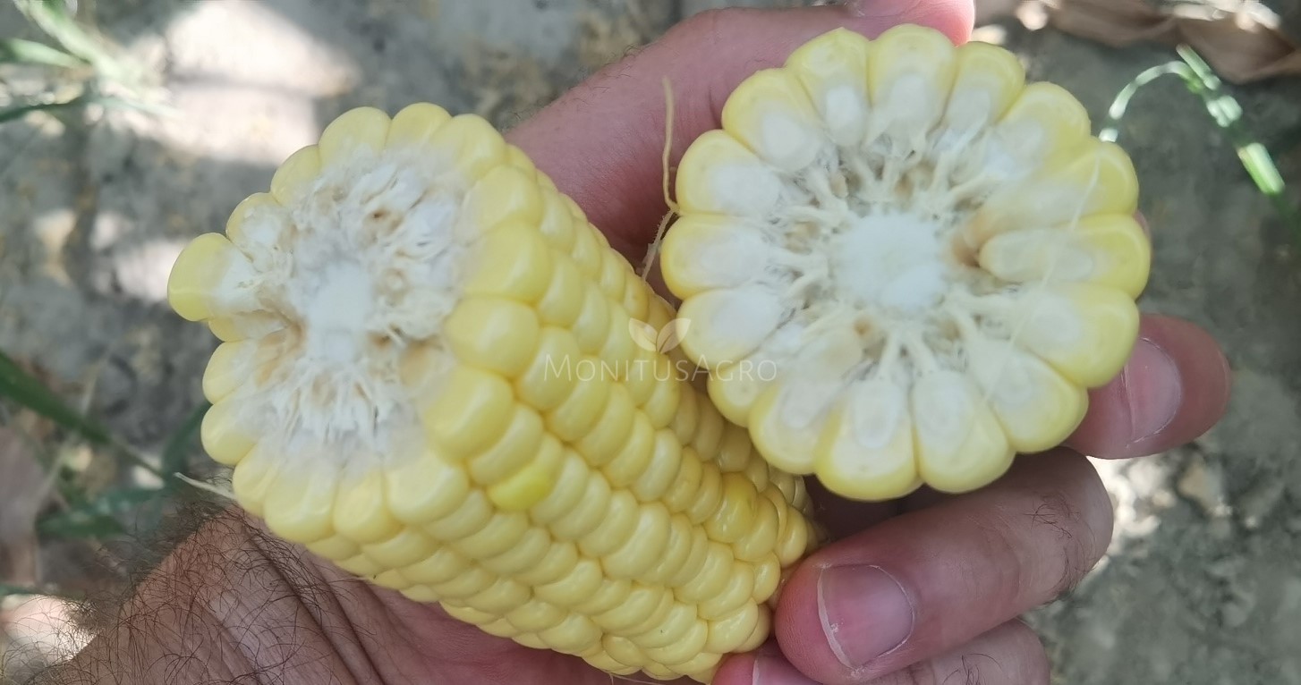 MONITUS AGRO d.o.o.