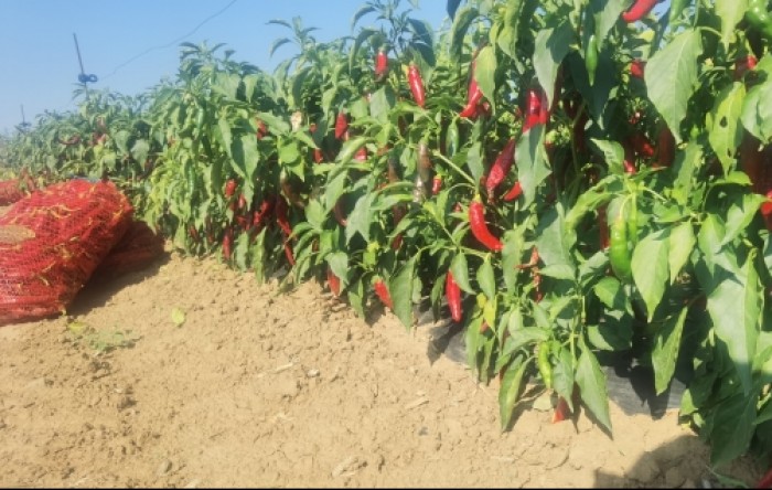 MONITUS AGRO d.o.o.