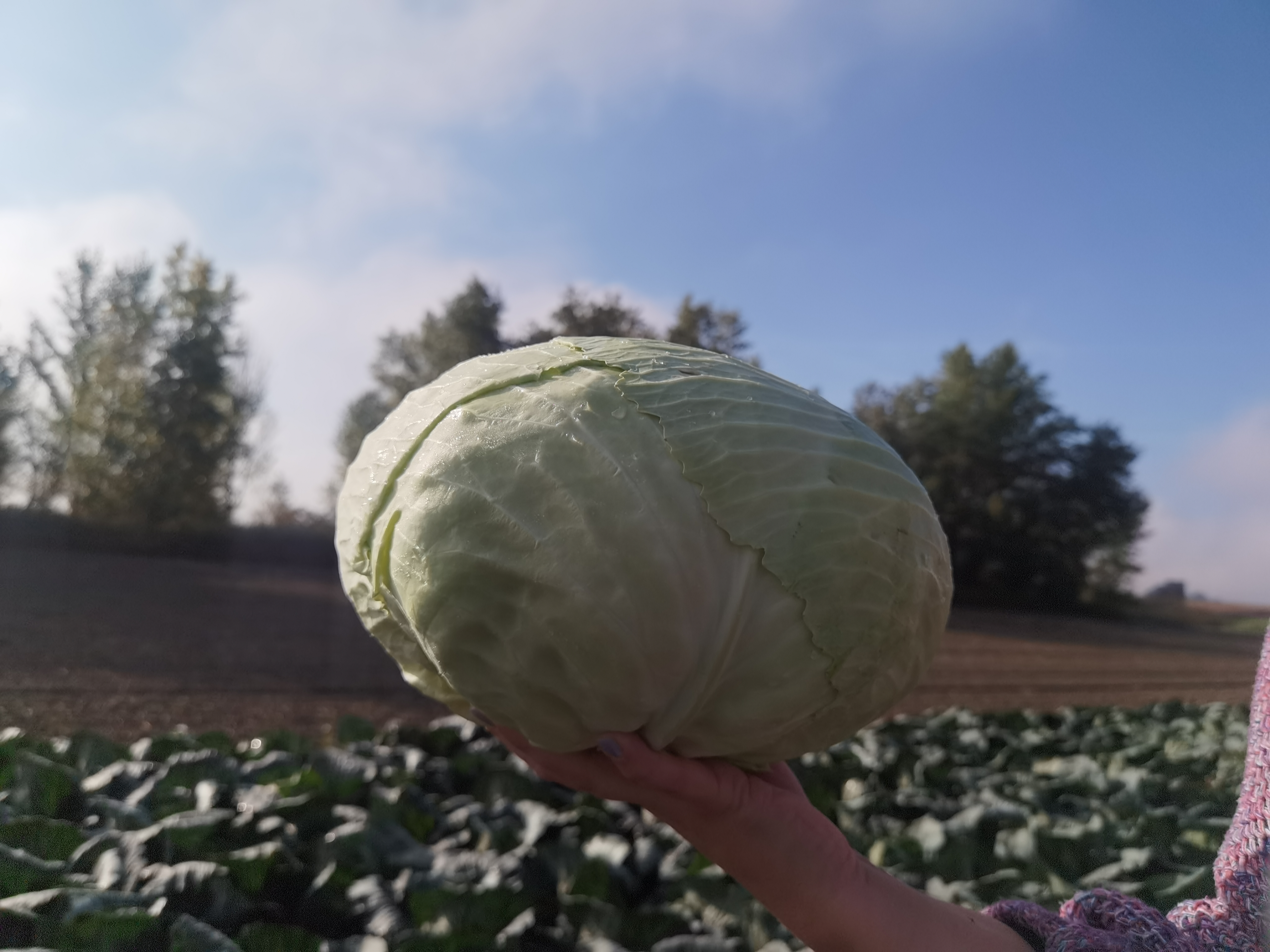 MONITUS AGRO d.o.o.