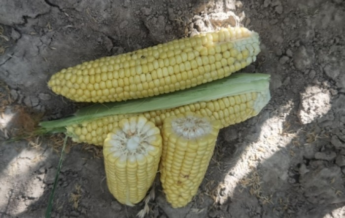 MONITUS AGRO d.o.o.
