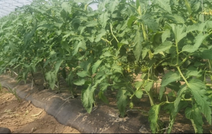 MONITUS AGRO d.o.o.
