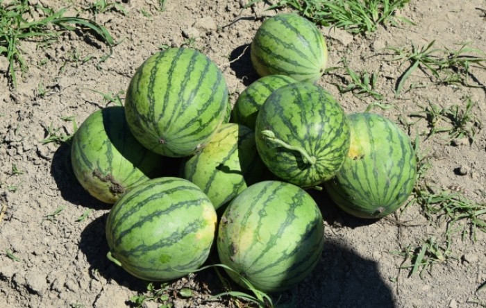 MONITUS AGRO d.o.o.