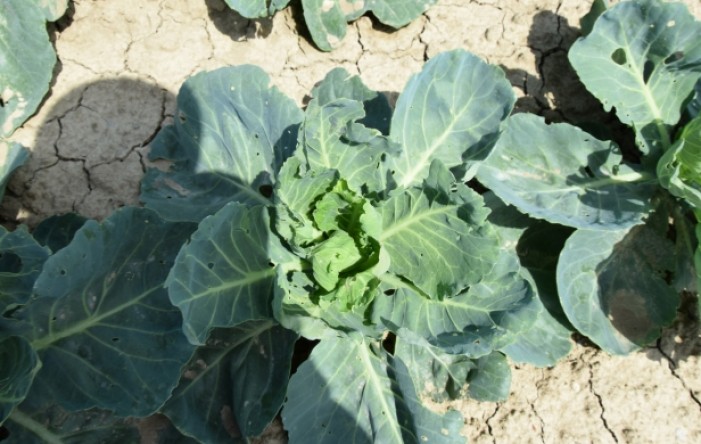 MONITUS AGRO d.o.o.