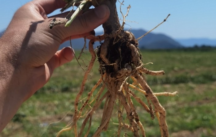 MONITUS AGRO d.o.o.