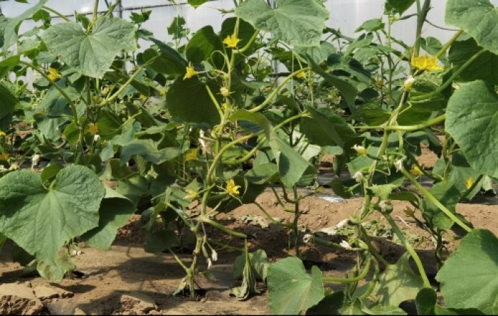 MONITUS AGRO d.o.o.