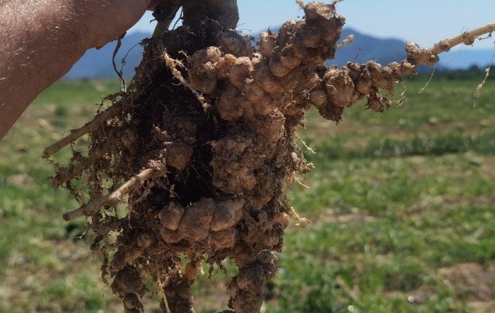 MONITUS AGRO d.o.o.