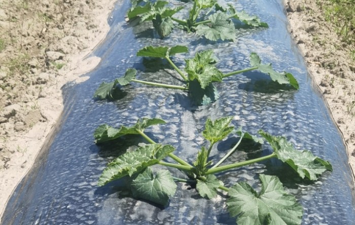 MONITUS AGRO d.o.o.