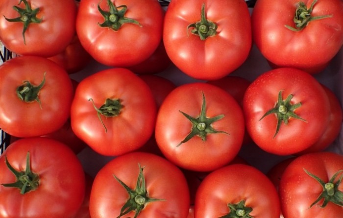 Nove rajčice Syngenta Vegetable Seeds