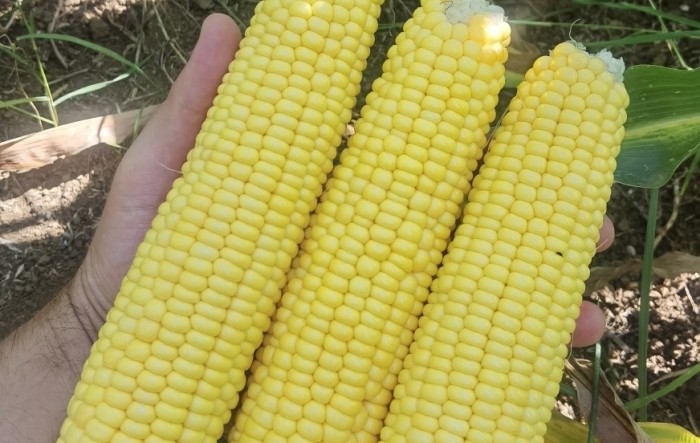 MONITUS AGRO d.o.o.