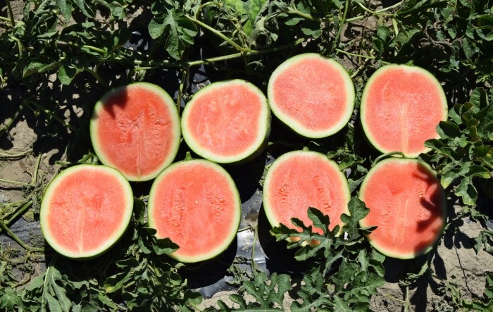 MONITUS AGRO d.o.o.