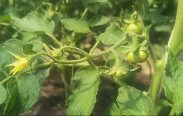 MONITUS AGRO d.o.o.