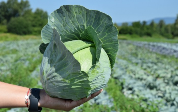 MONITUS AGRO d.o.o.
