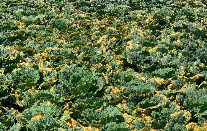 MONITUS AGRO d.o.o.