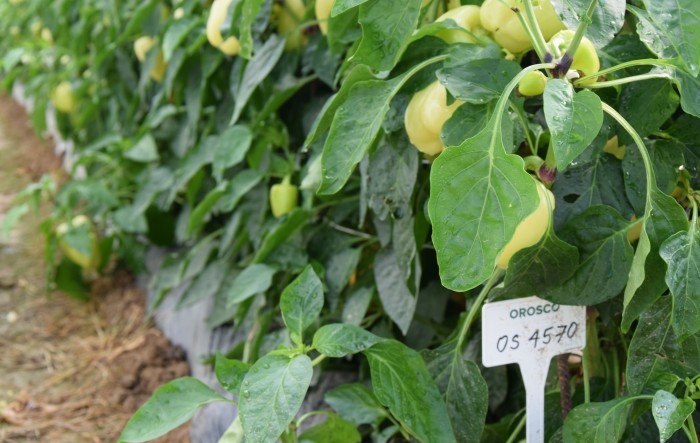 MONITUS AGRO d.o.o.