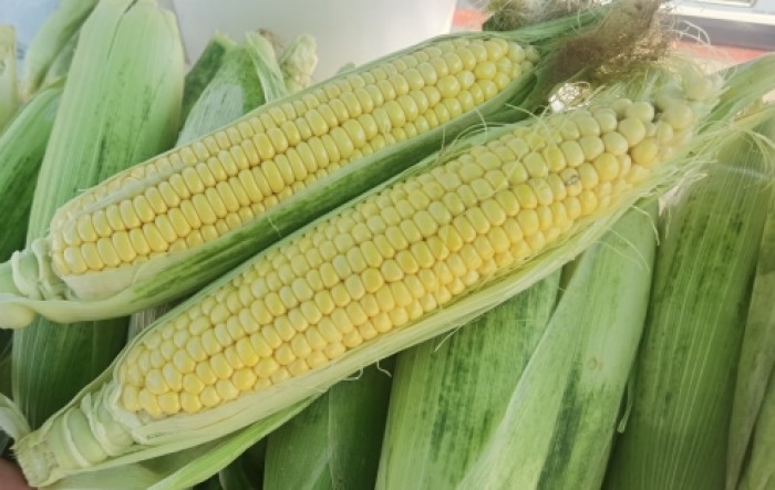 MONITUS AGRO d.o.o.