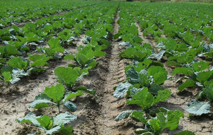 MONITUS AGRO d.o.o.