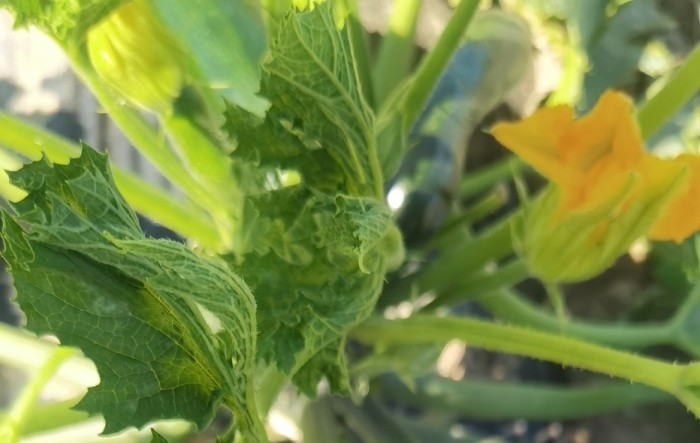 MONITUS AGRO d.o.o.
