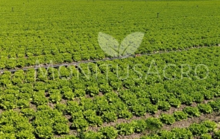 MONITUS AGRO d.o.o.