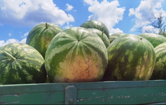 MONITUS AGRO d.o.o.
