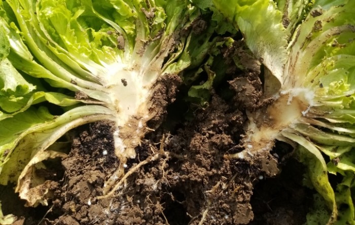MONITUS AGRO d.o.o.