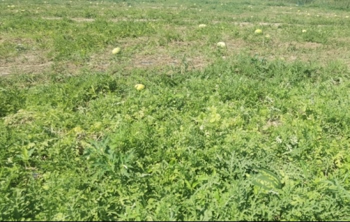 MONITUS AGRO d.o.o.