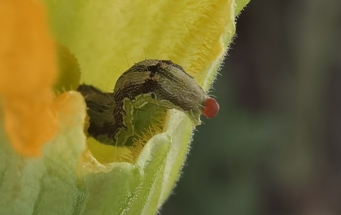 MONITUS AGRO d.o.o.