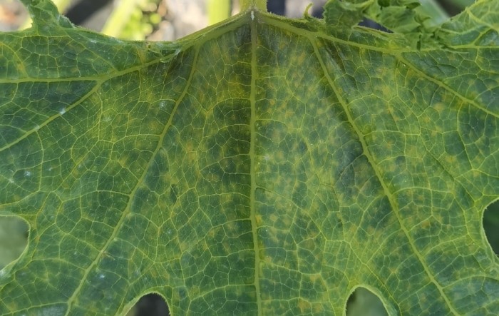 MONITUS AGRO d.o.o.