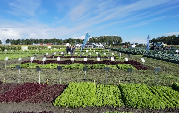 Fields of innovation 2022.