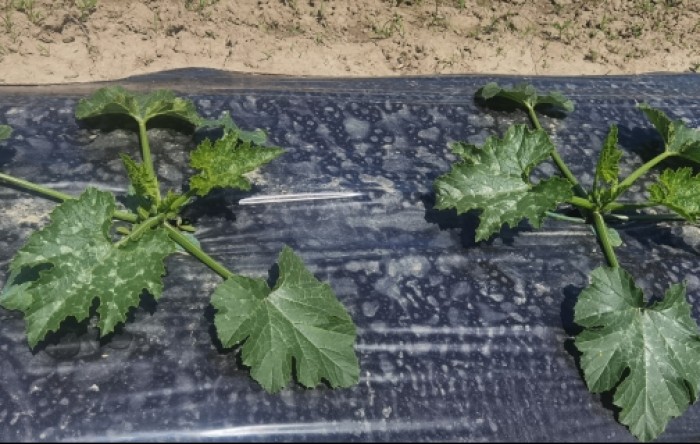 MONITUS AGRO d.o.o.