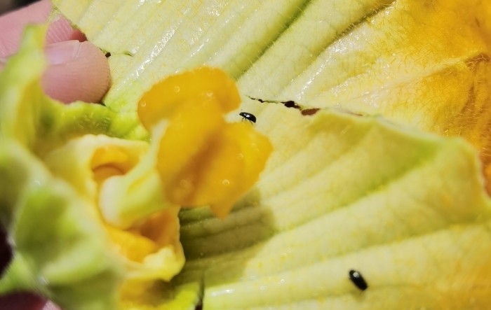 MONITUS AGRO d.o.o.