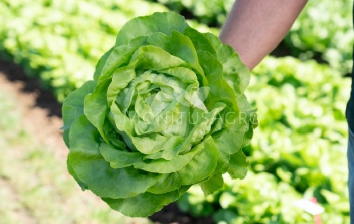 MONITUS AGRO d.o.o.