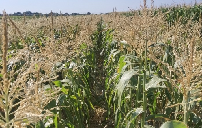 MONITUS AGRO d.o.o.