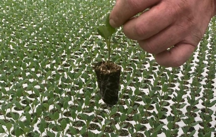 MONITUS AGRO d.o.o.