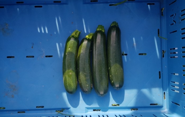 MONITUS AGRO d.o.o.