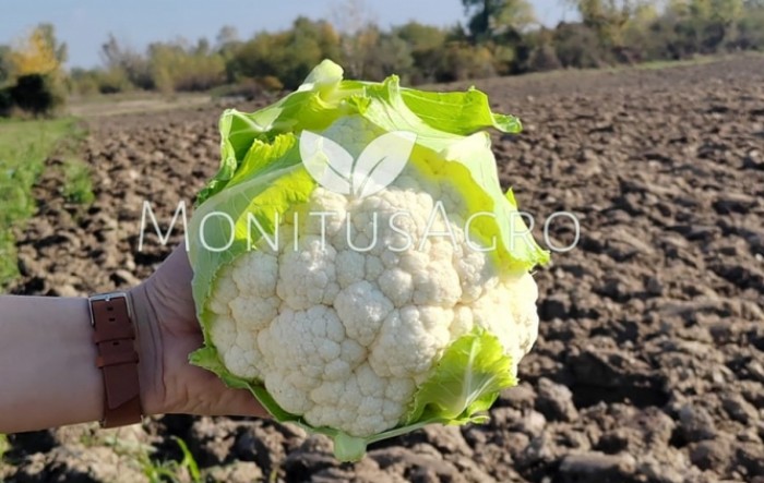 MONITUS AGRO d.o.o.