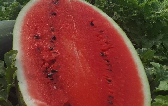 MONITUS AGRO d.o.o.