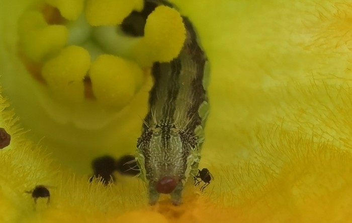 MONITUS AGRO d.o.o.