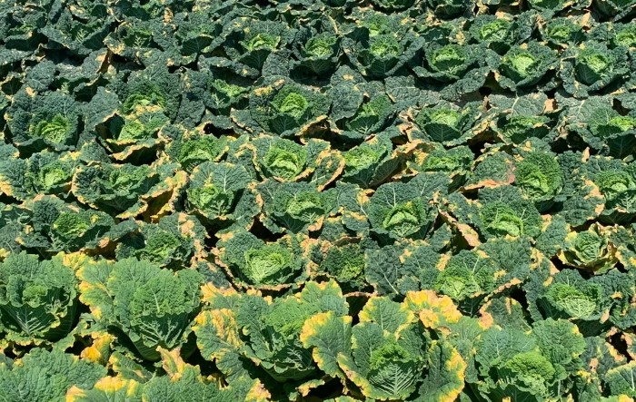 MONITUS AGRO d.o.o.