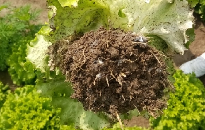 MONITUS AGRO d.o.o.