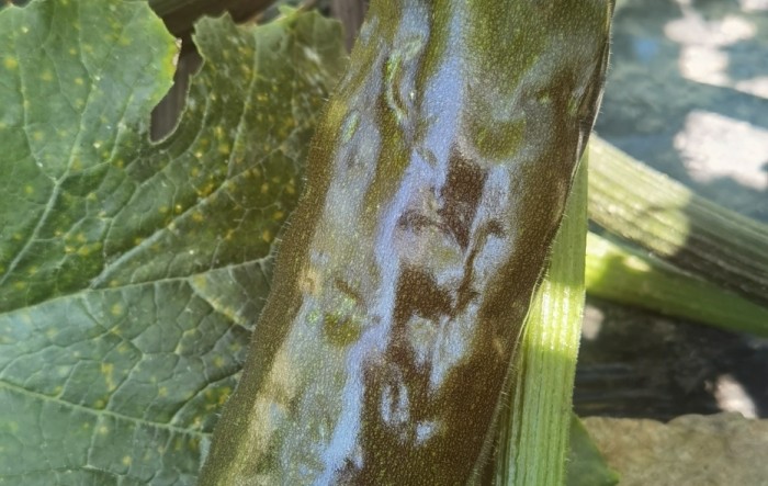 MONITUS AGRO d.o.o.