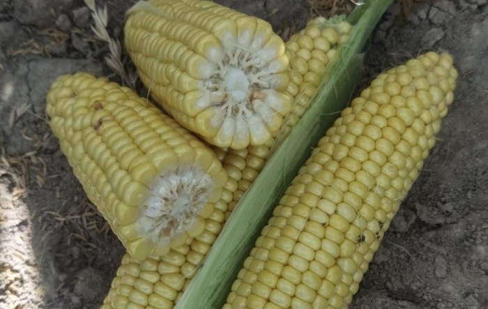 MONITUS AGRO d.o.o.