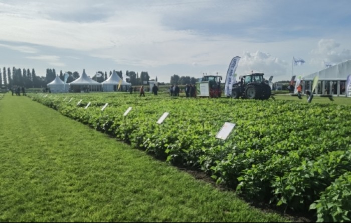 Nakon dvije godine vratio se Fields of innovation