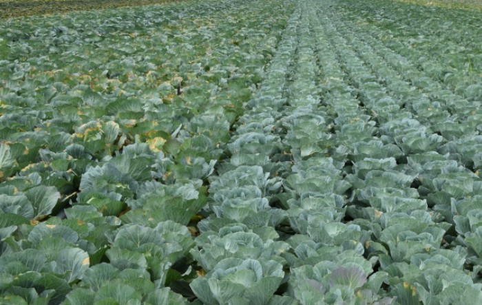 MONITUS AGRO d.o.o.