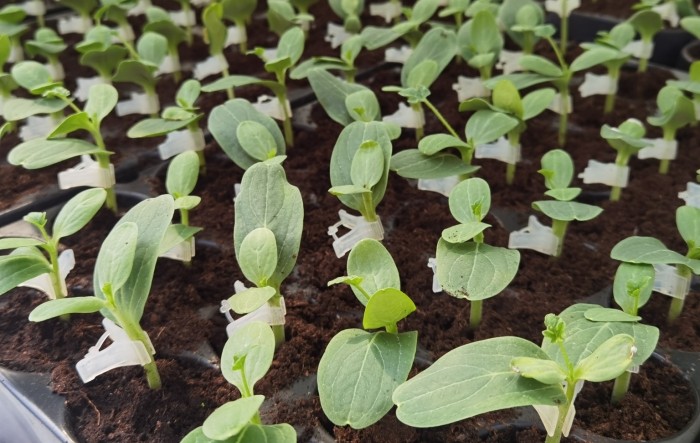 MONITUS AGRO d.o.o.