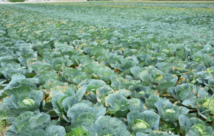 MONITUS AGRO d.o.o.