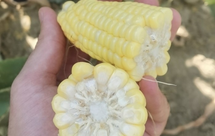 MONITUS AGRO d.o.o.