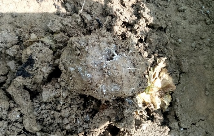 MONITUS AGRO d.o.o.